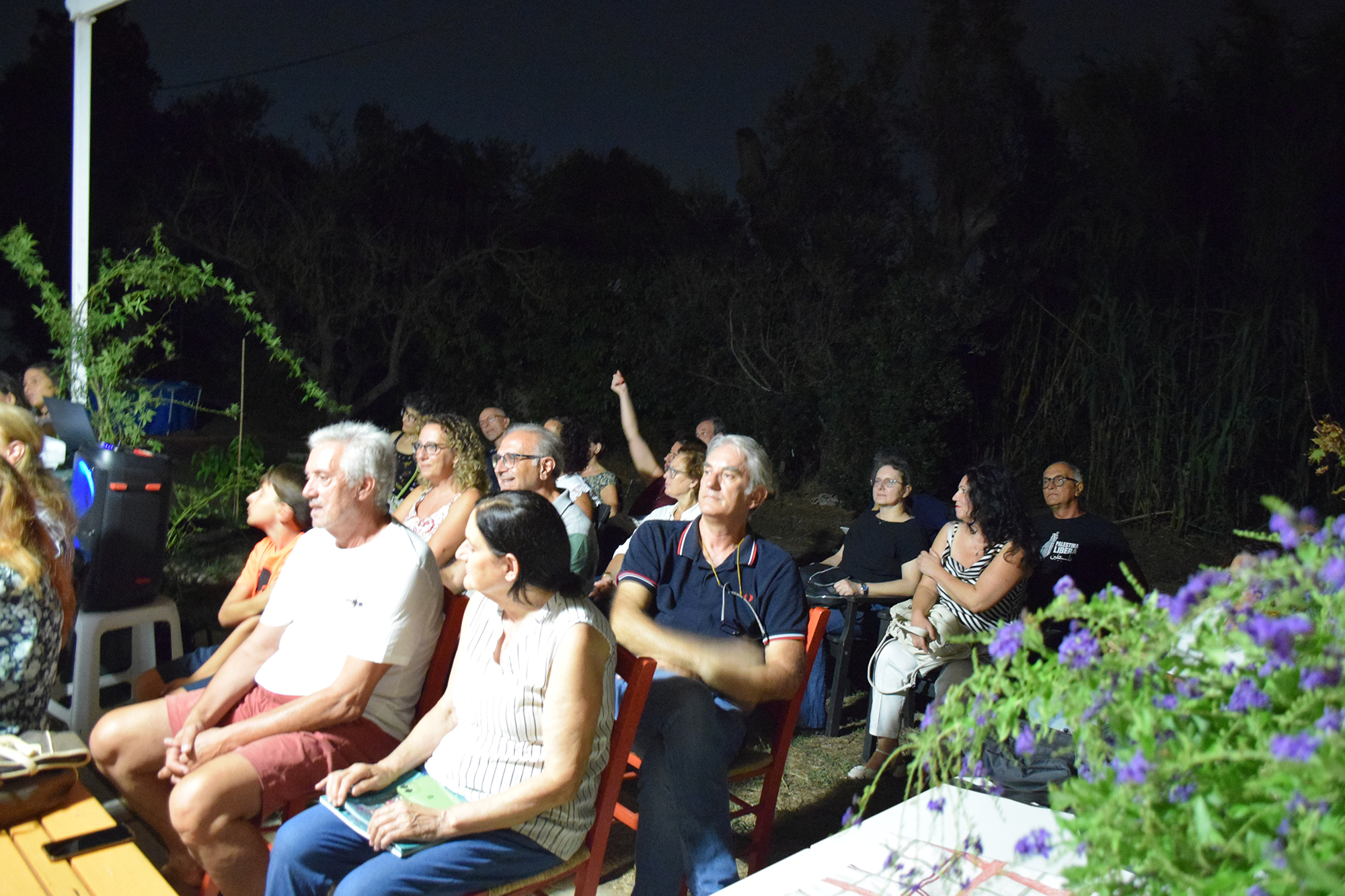 DSC_3446